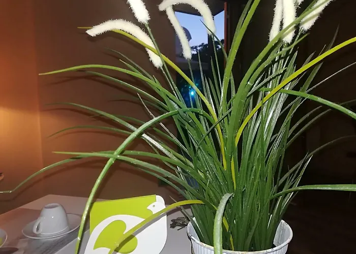 Frühstückspension Elisir 3*